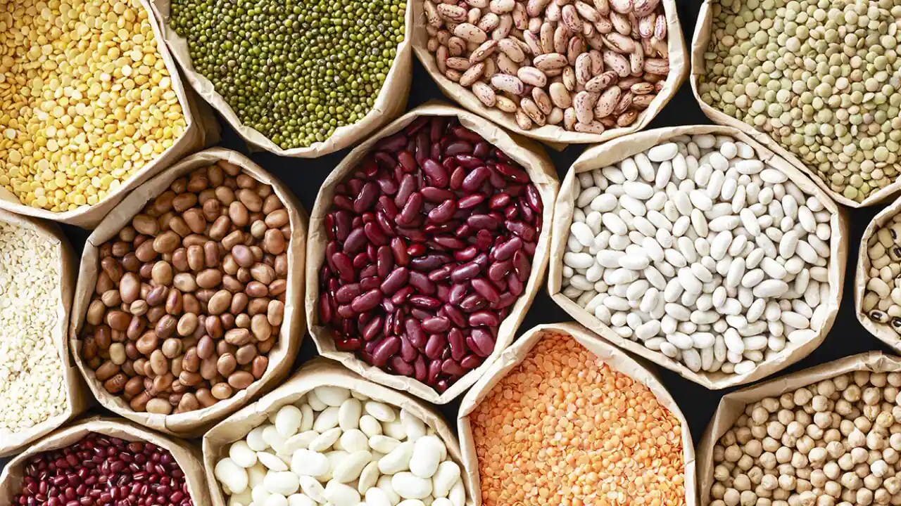 Lentils and Pulses